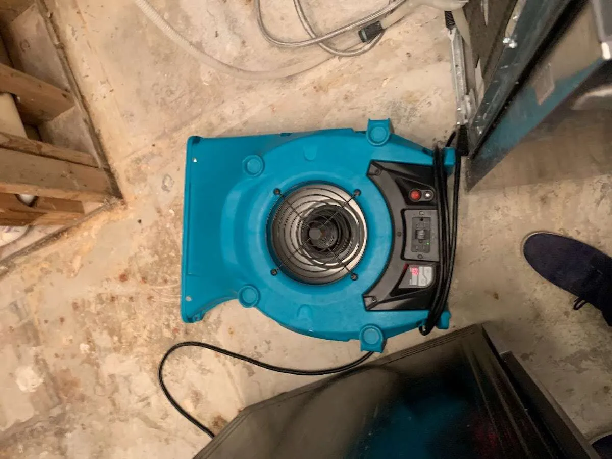 Air mover drying equipment for Mold Remediation & Removal in Alton