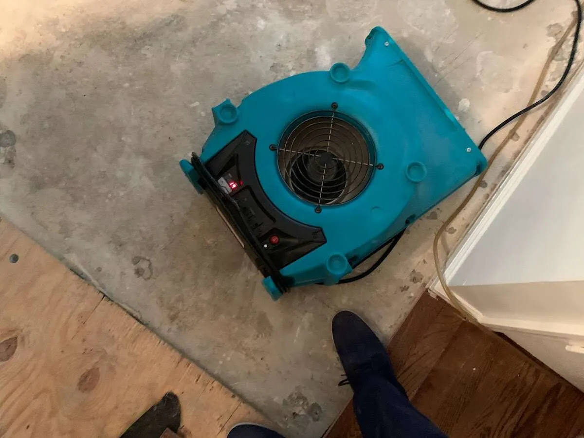 Air mover drying subfloor during Leak Detection & Repair in Alton